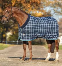 Stable Blanket Heavy