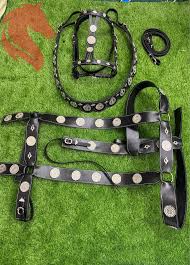 Professional Bridle Set